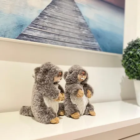 Les 2 Marmottes - Cosy Hyper Centre *